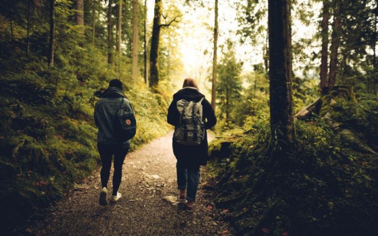 Deux jeunes adultes vus de dos sur un sentier dans la forêt près d'un chalet locatif